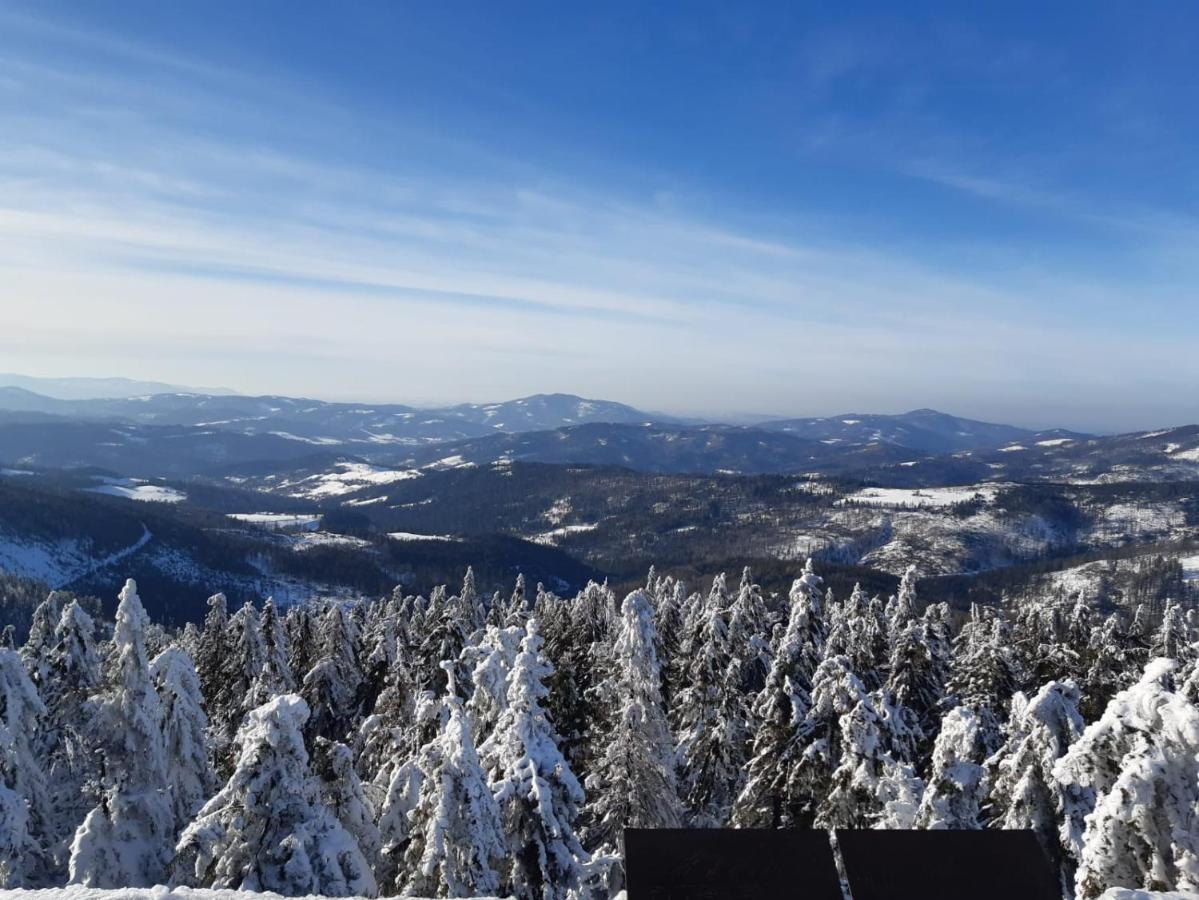 Chata Goralska Wojtasowka Kamesznica Bagian luar foto