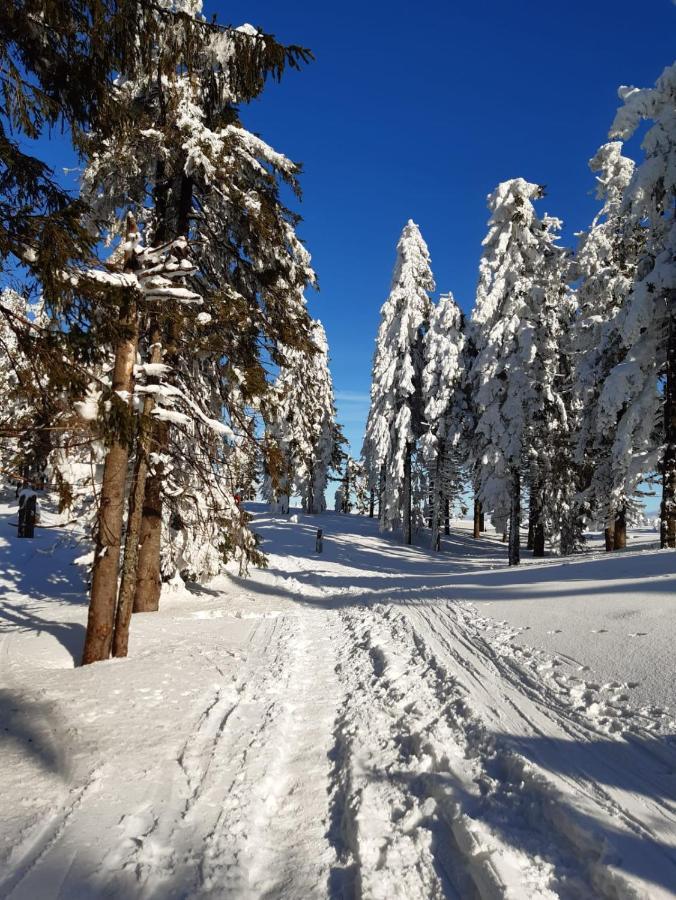 Chata Goralska Wojtasowka Kamesznica Bagian luar foto