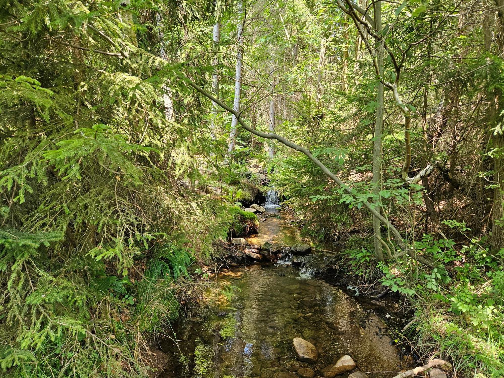 Chata Goralska Wojtasowka Kamesznica Bagian luar foto