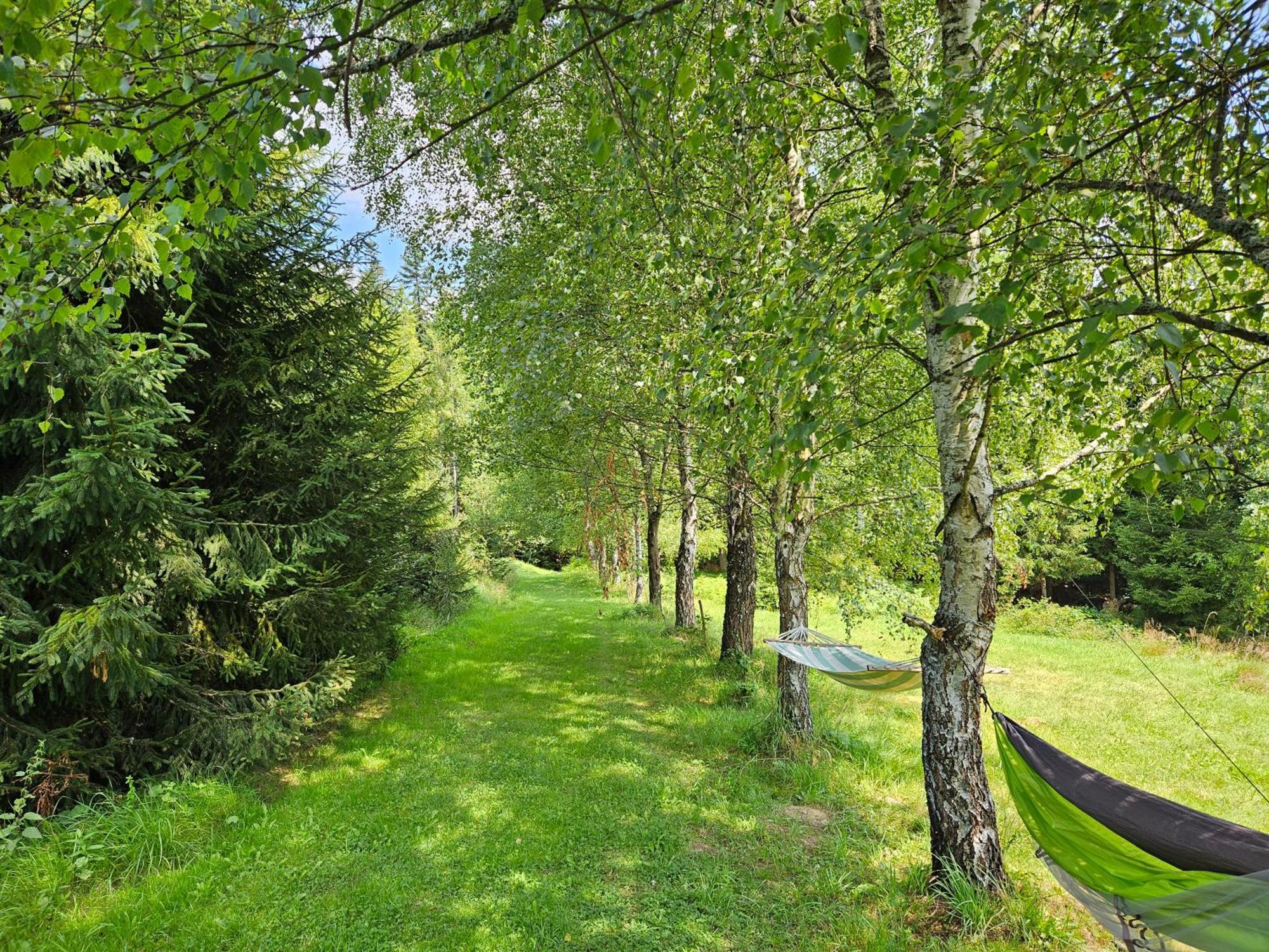 Chata Goralska Wojtasowka Kamesznica Bagian luar foto