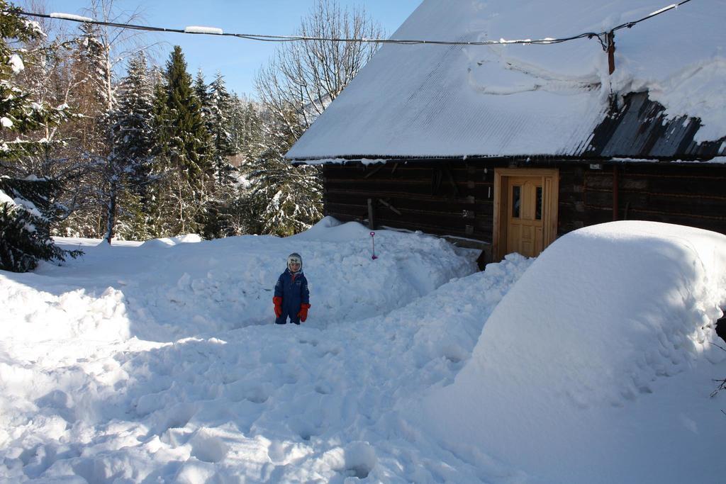 Chata Goralska Wojtasowka Kamesznica Bagian luar foto