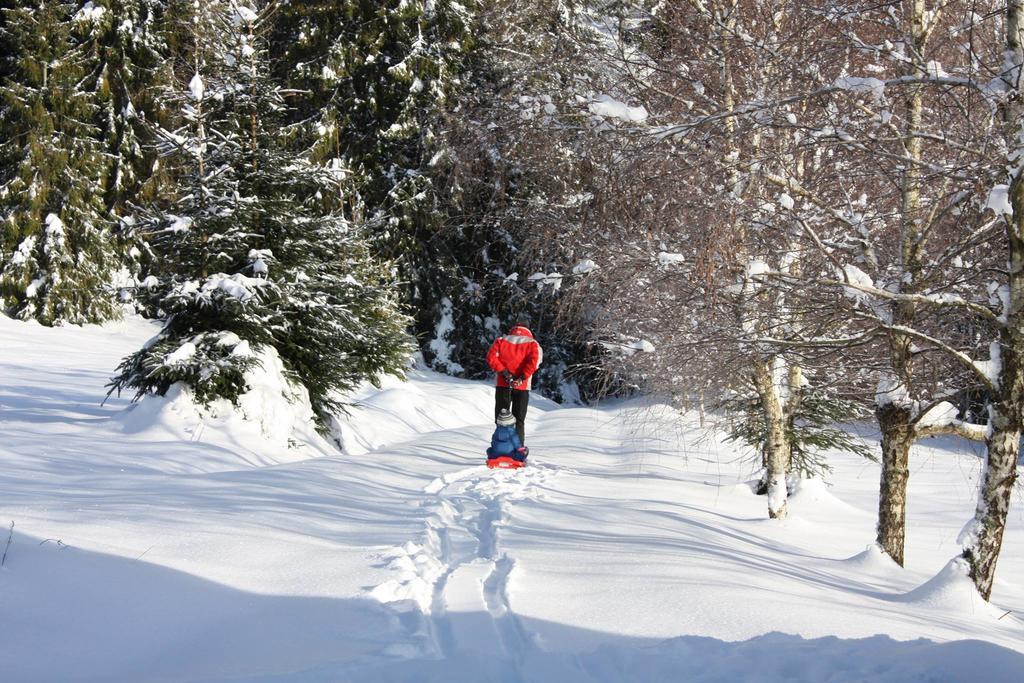 Chata Goralska Wojtasowka Kamesznica Bagian luar foto
