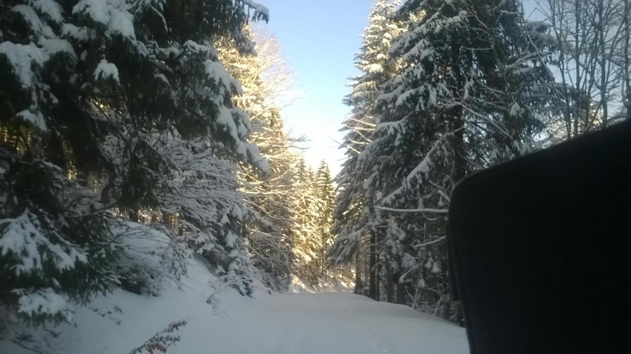 Chata Goralska Wojtasowka Kamesznica Bagian luar foto